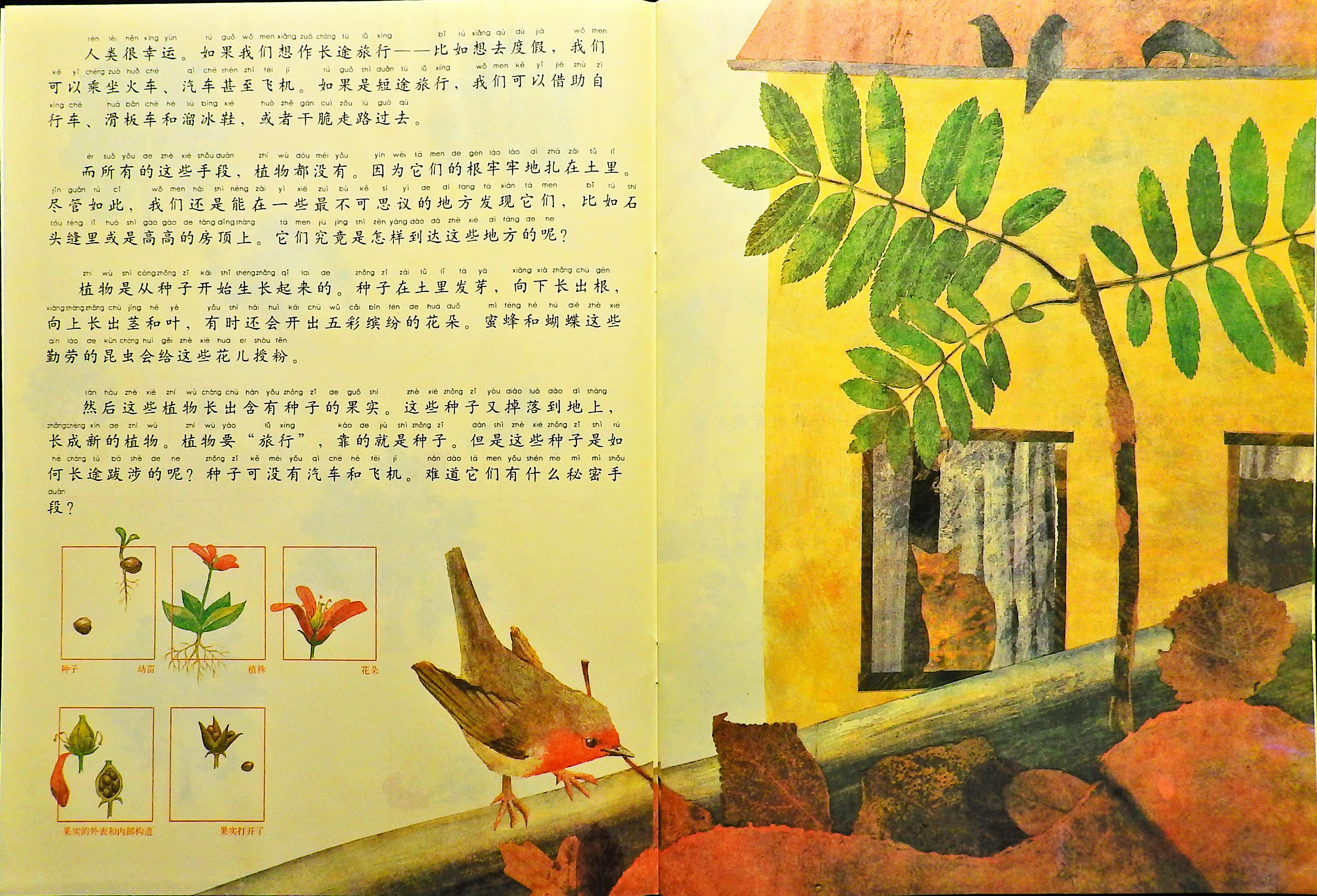 一粒种子的旅行 (04),绘本,绘本故事,绘本阅读,故事书,童书,图画书,课外阅读